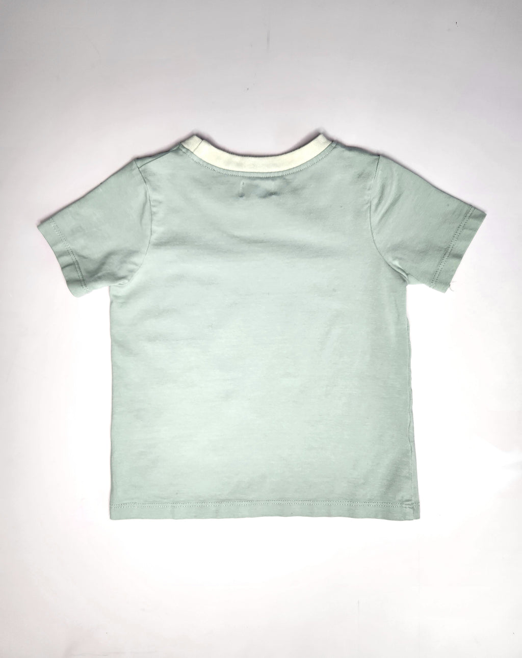 Burrow & Be Nature Tee (Size 1 year)