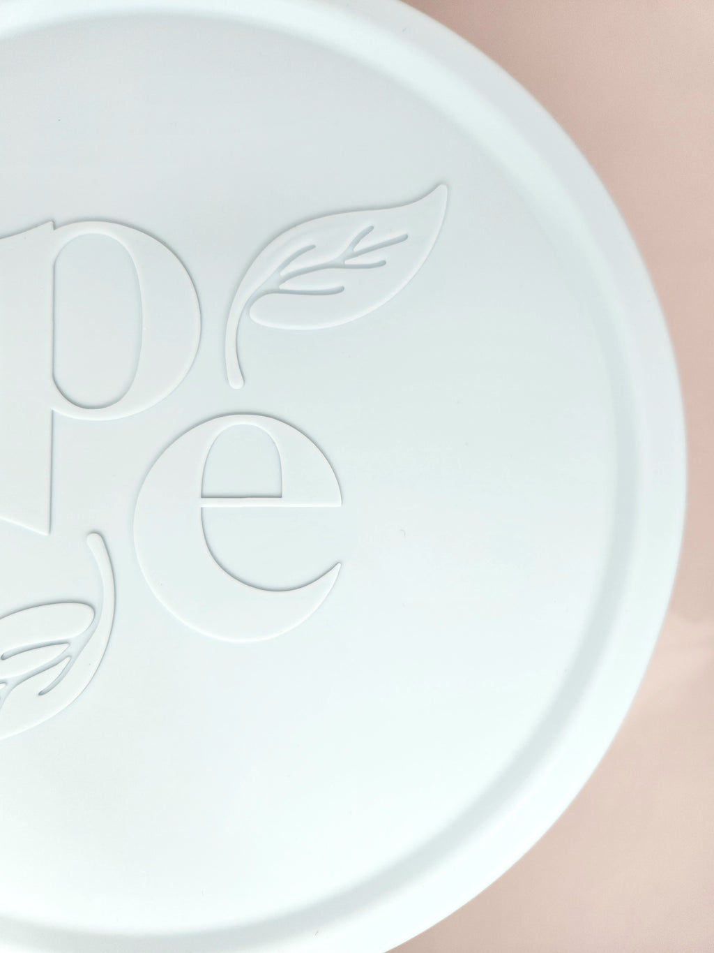 Petite Eats Large Silicone Suction Plate with Lid