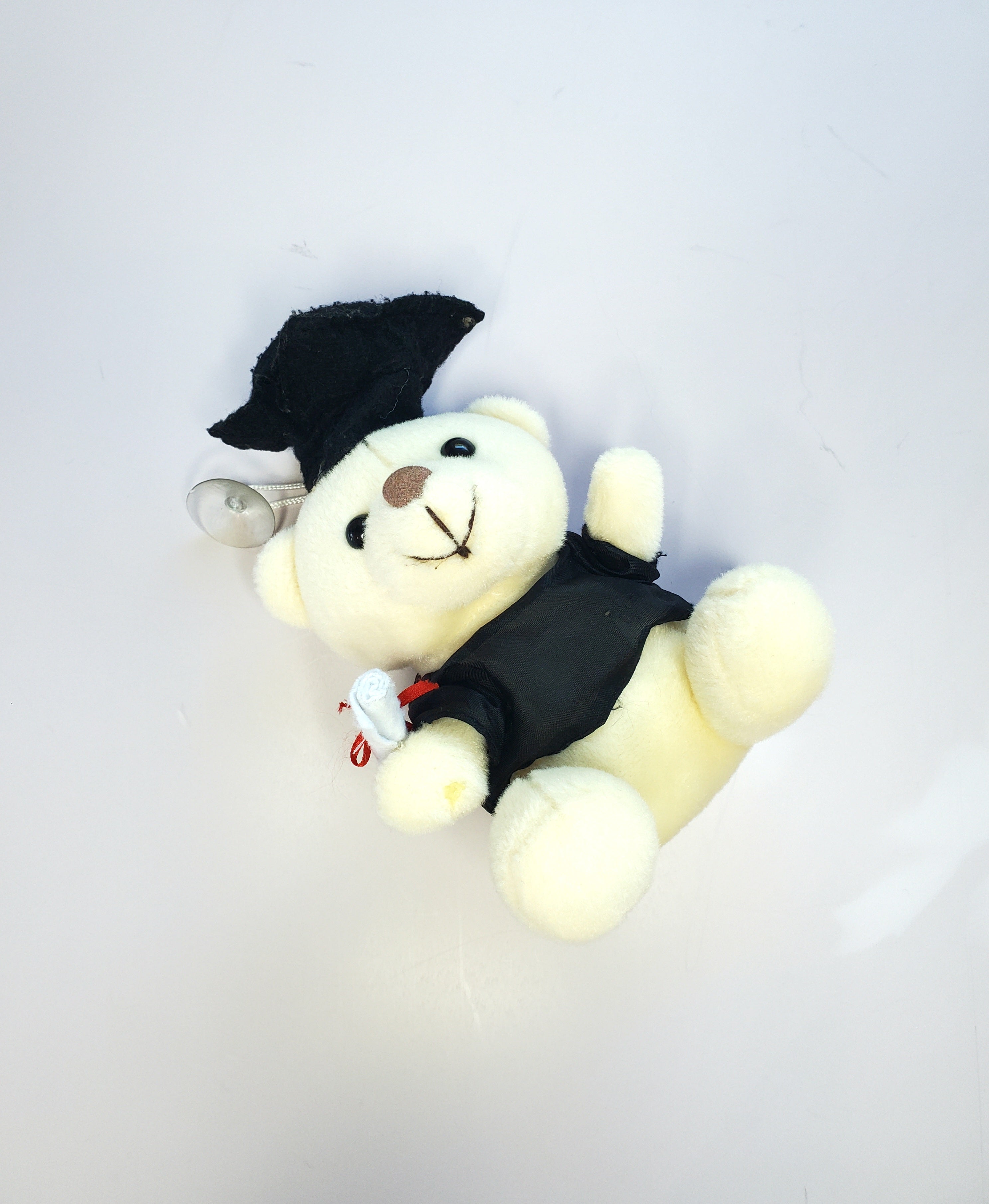 Graduation Bear Soft Toy FREE